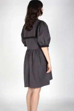 BIRDS OF NORTH AMERICA Fulvetta Dress - Iron