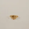 HAWKLY Driftwood Ring - Bronze