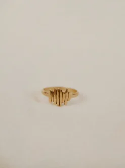 HAWKLY Driftwood Ring - Bronze